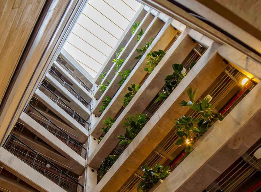 Cytrico Hotel Laureles Estadio Medellín Dış mekan fotoğraf